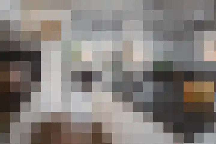 Twijver 59 Venhuizen thumbnail 13