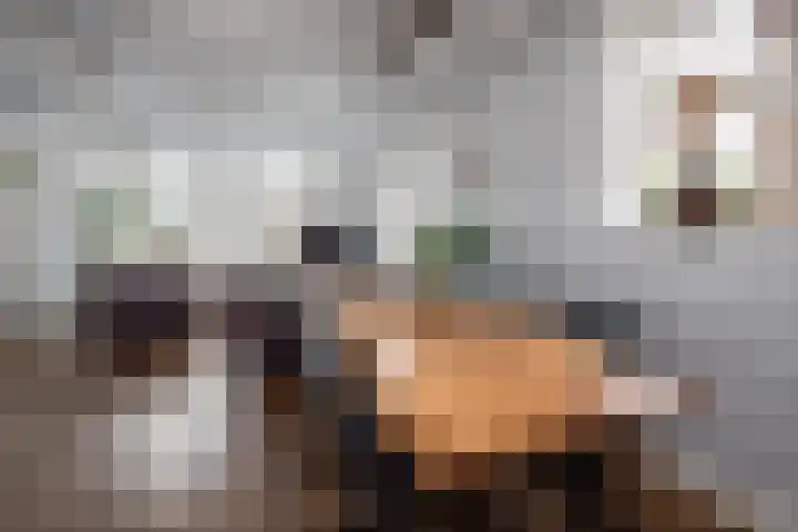 Twijver 59 Venhuizen thumbnail 14