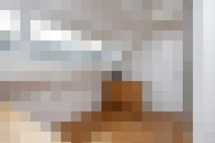 Twijver 59 Venhuizen thumbnail 25