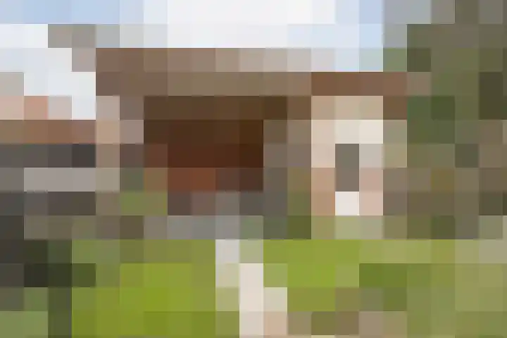 Twijver 59 Venhuizen thumbnail 31