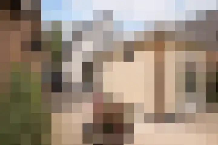 Twijver 59 Venhuizen thumbnail 33