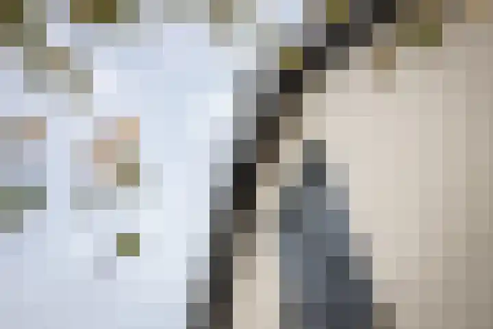 Twijver 59 Venhuizen thumbnail 37