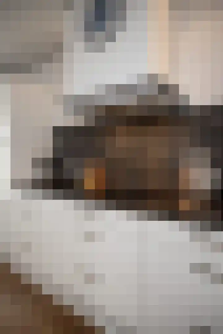 Twijver 59 Venhuizen thumbnail 46