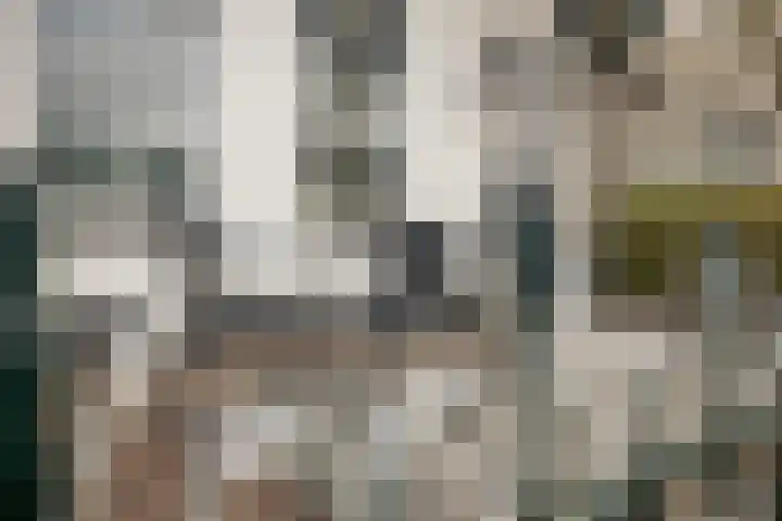 Twijver 59 Venhuizen thumbnail 6