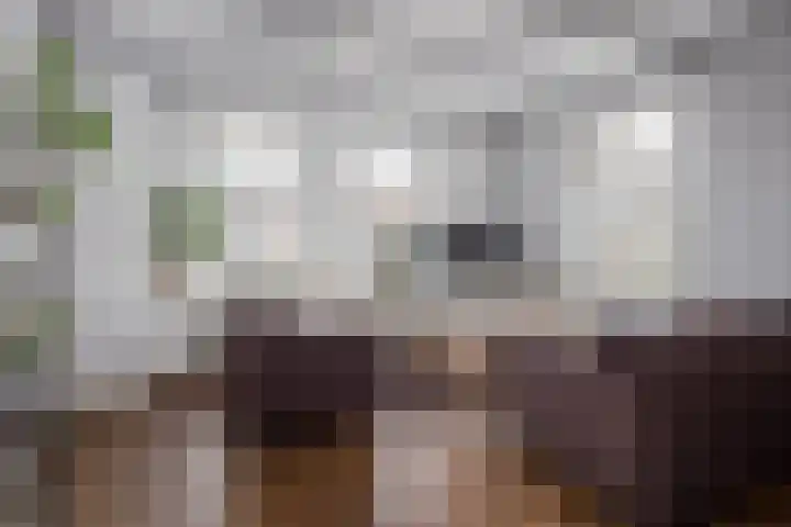 Twijver 59 Venhuizen thumbnail 8