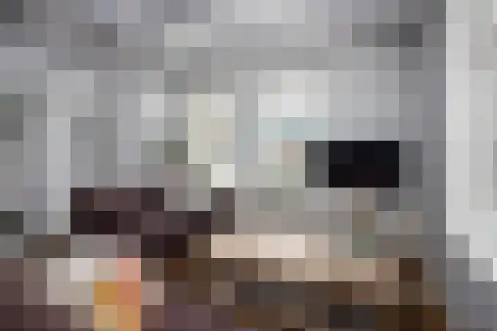 Twijver 59 Venhuizen thumbnail 9