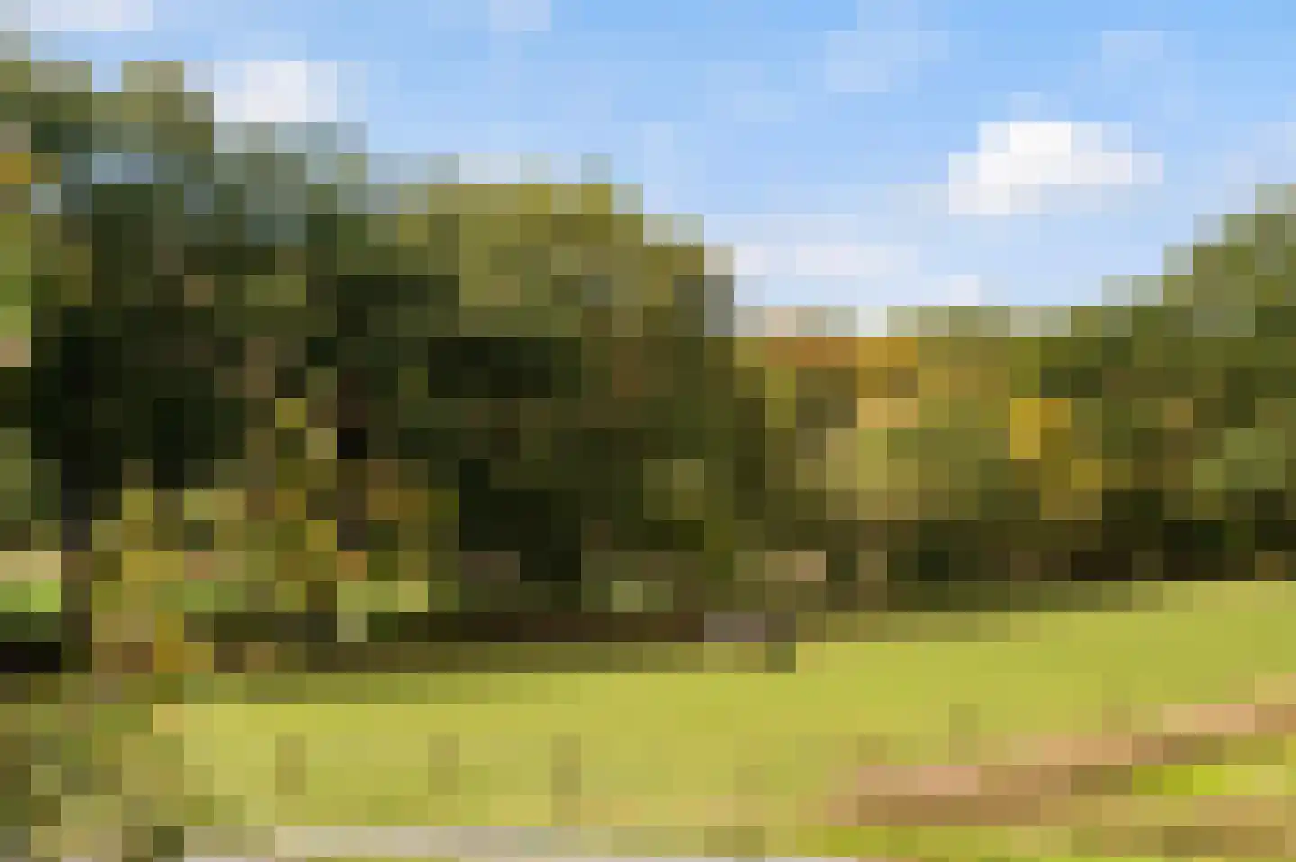 Twikkelerweg 29 Markelo thumbnail 39