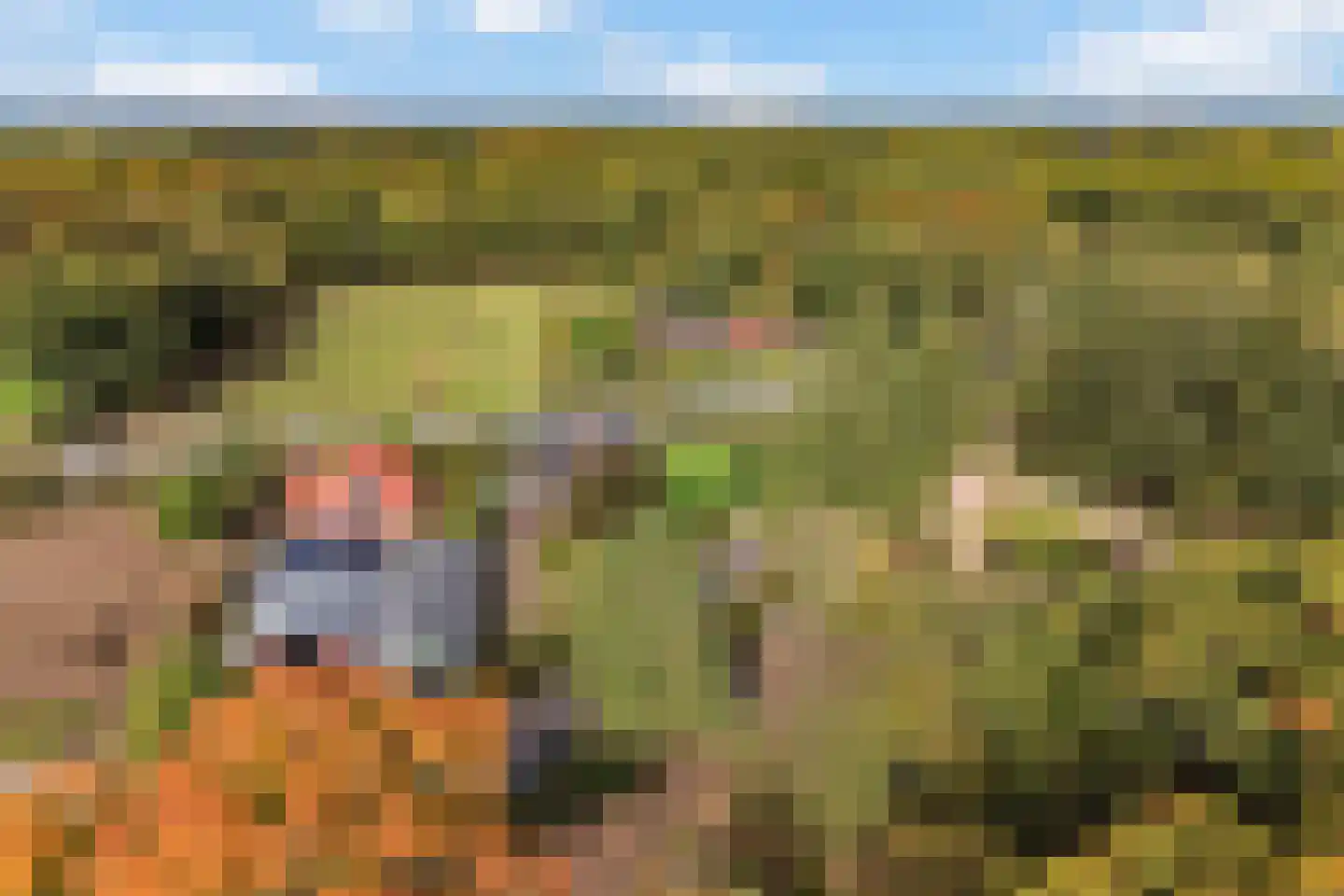 Twikkelerweg 29 Markelo thumbnail 41