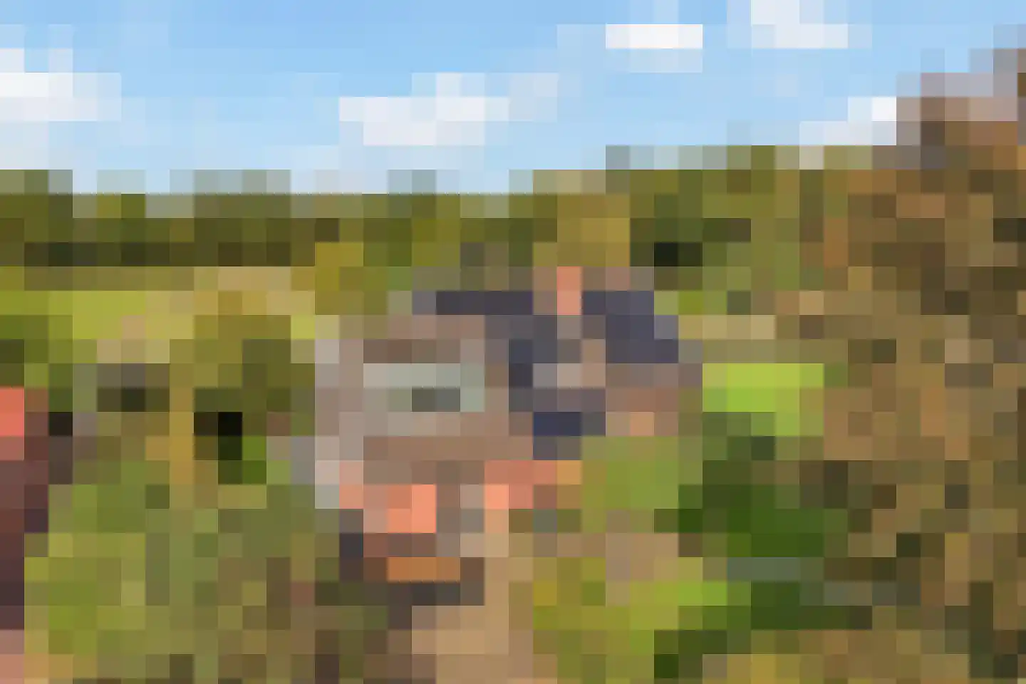 Twikkelerweg 29 Markelo thumbnail 42