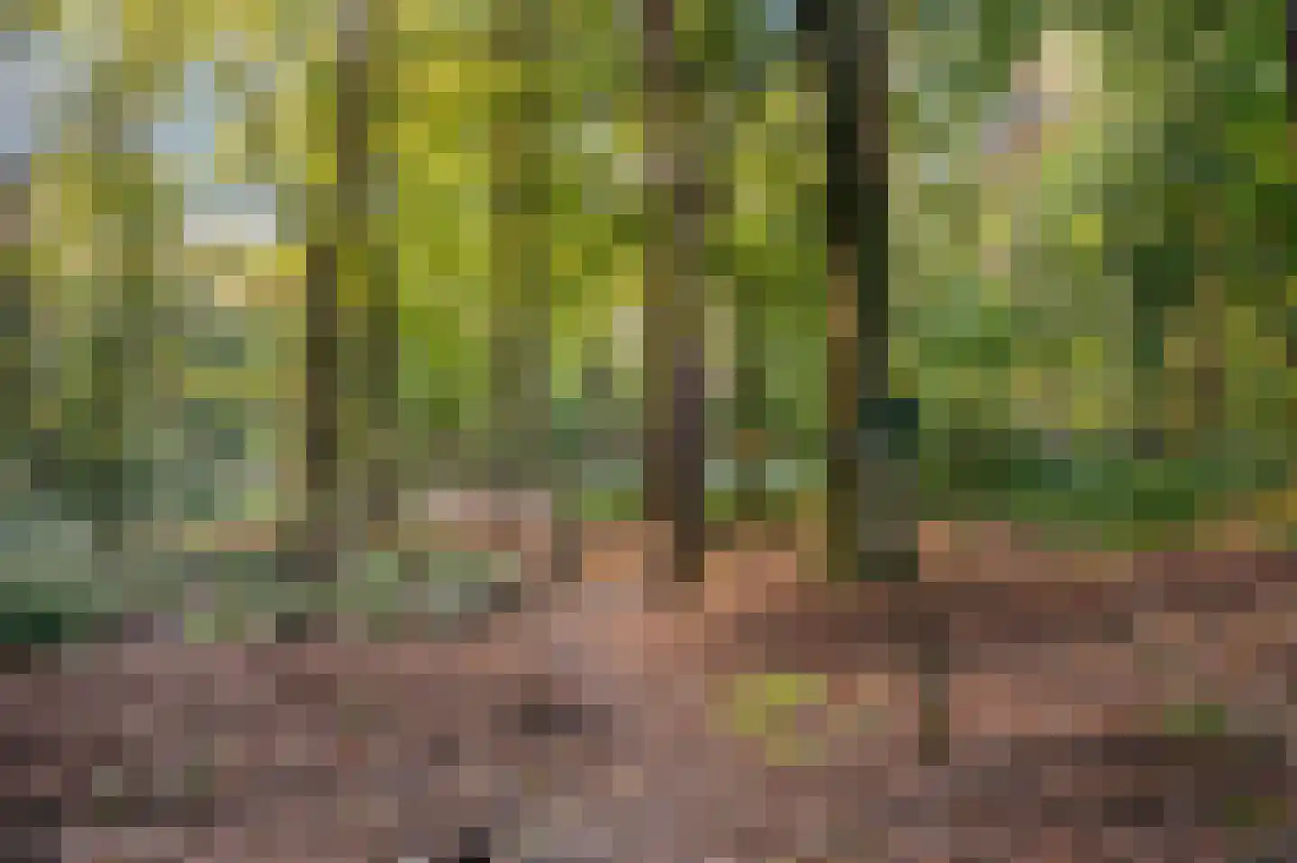 Twikkelerweg 29 Markelo thumbnail 43