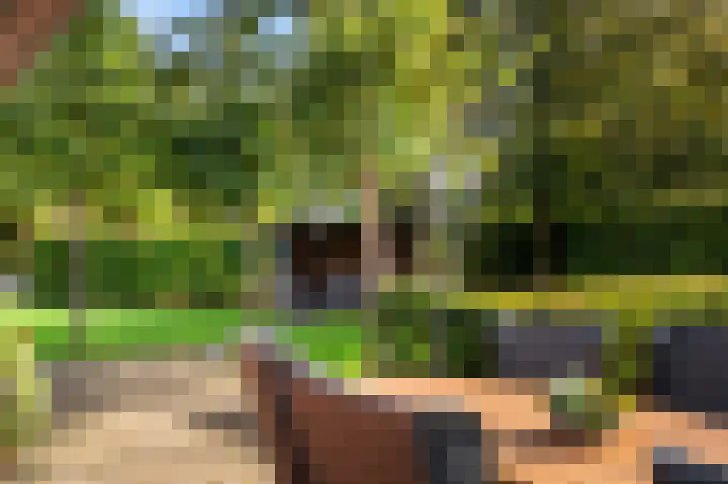 Twikkelerweg 29 Markelo thumbnail 6