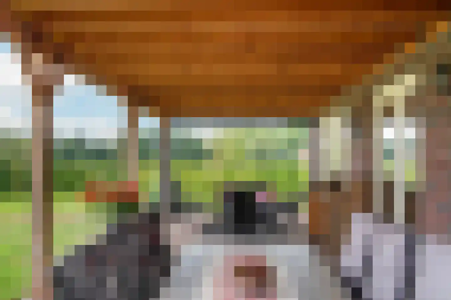 Twikkelerweg 8 Markelo thumbnail 10