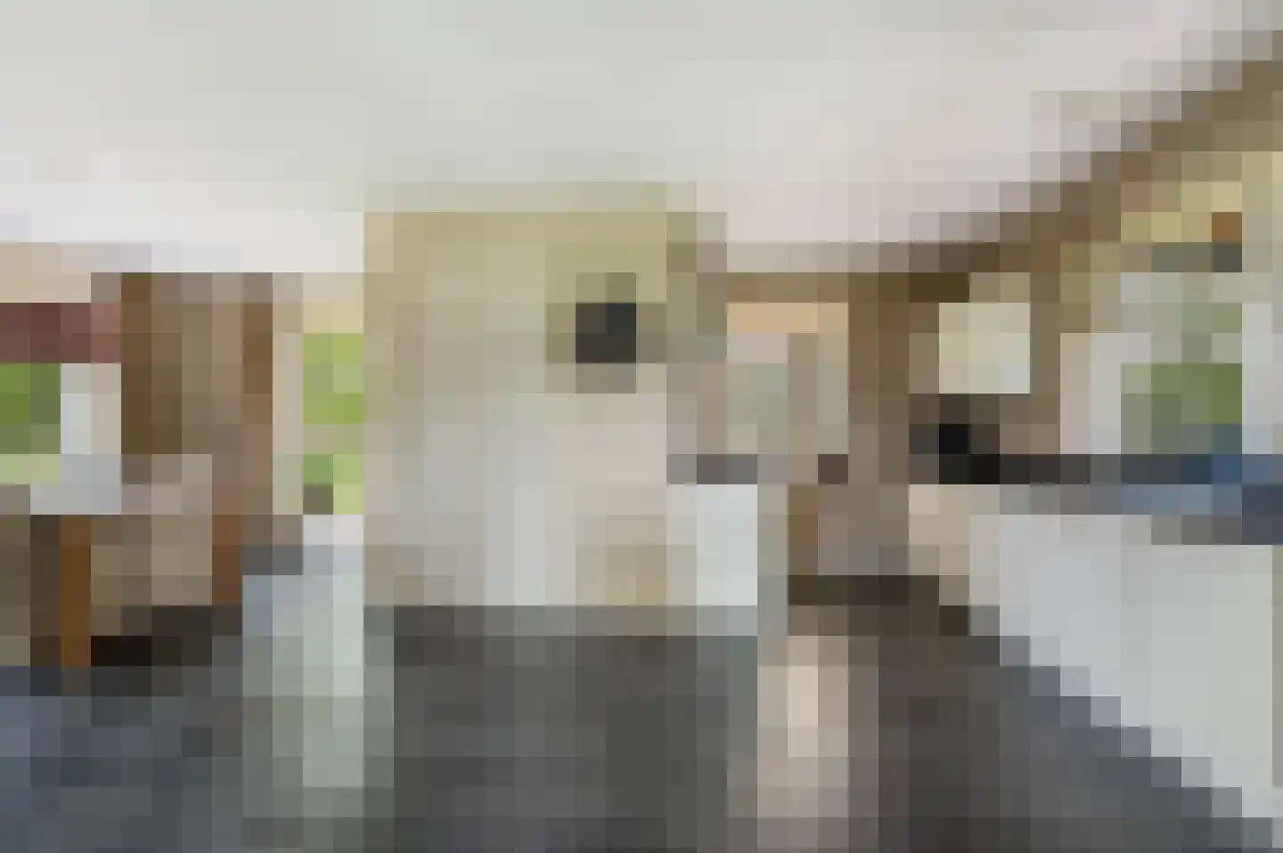 Twikkelerweg 8 Markelo thumbnail 14