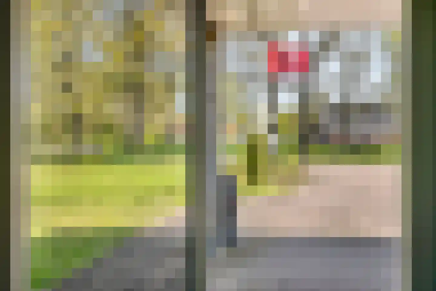 Twikkelerweg 8 Markelo thumbnail 19