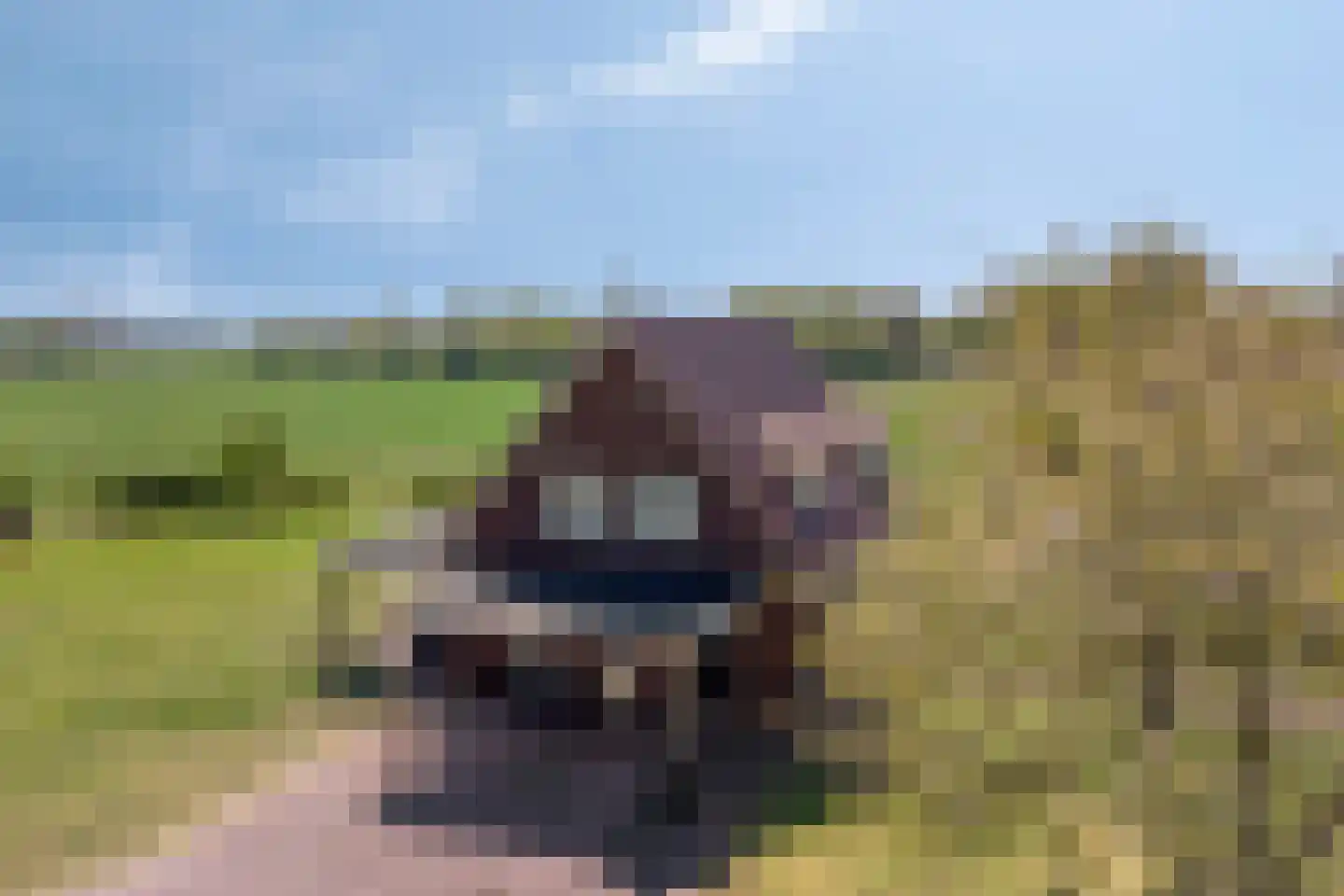 Twikkelerweg 8 Markelo thumbnail 4