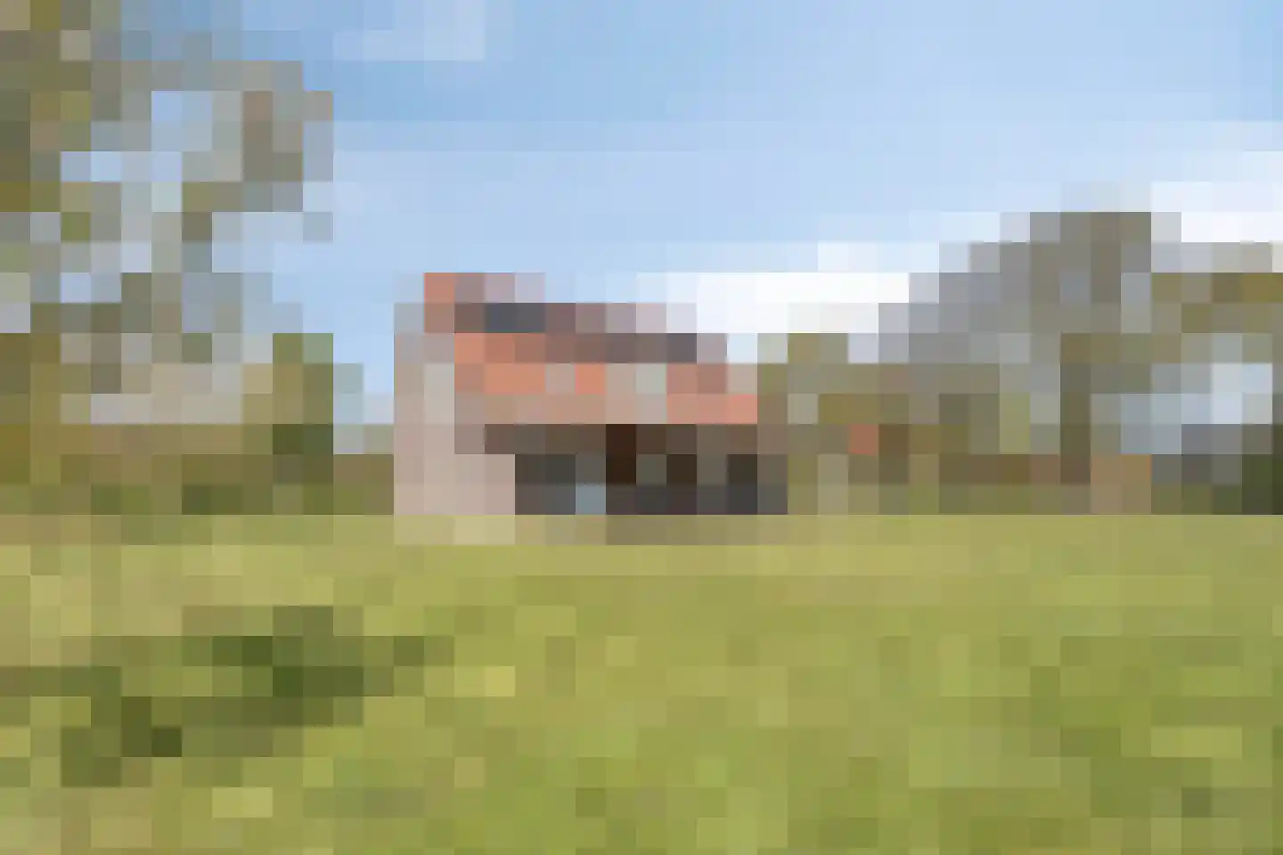 Twikkelerweg 8 Markelo thumbnail 47