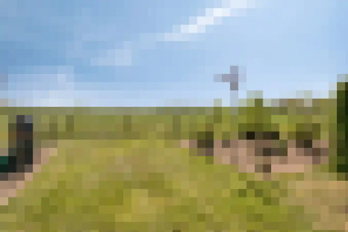 Twikkelerweg 8 Markelo thumbnail 50