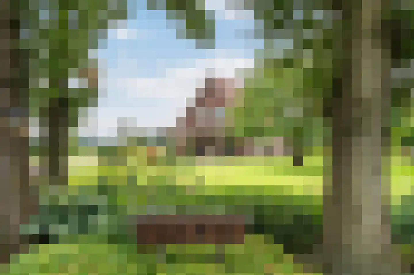 Twikkelerweg 8 Markelo thumbnail 50