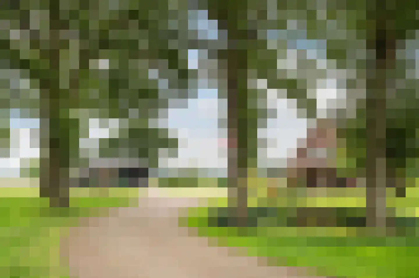 Twikkelerweg 8 Markelo thumbnail 52