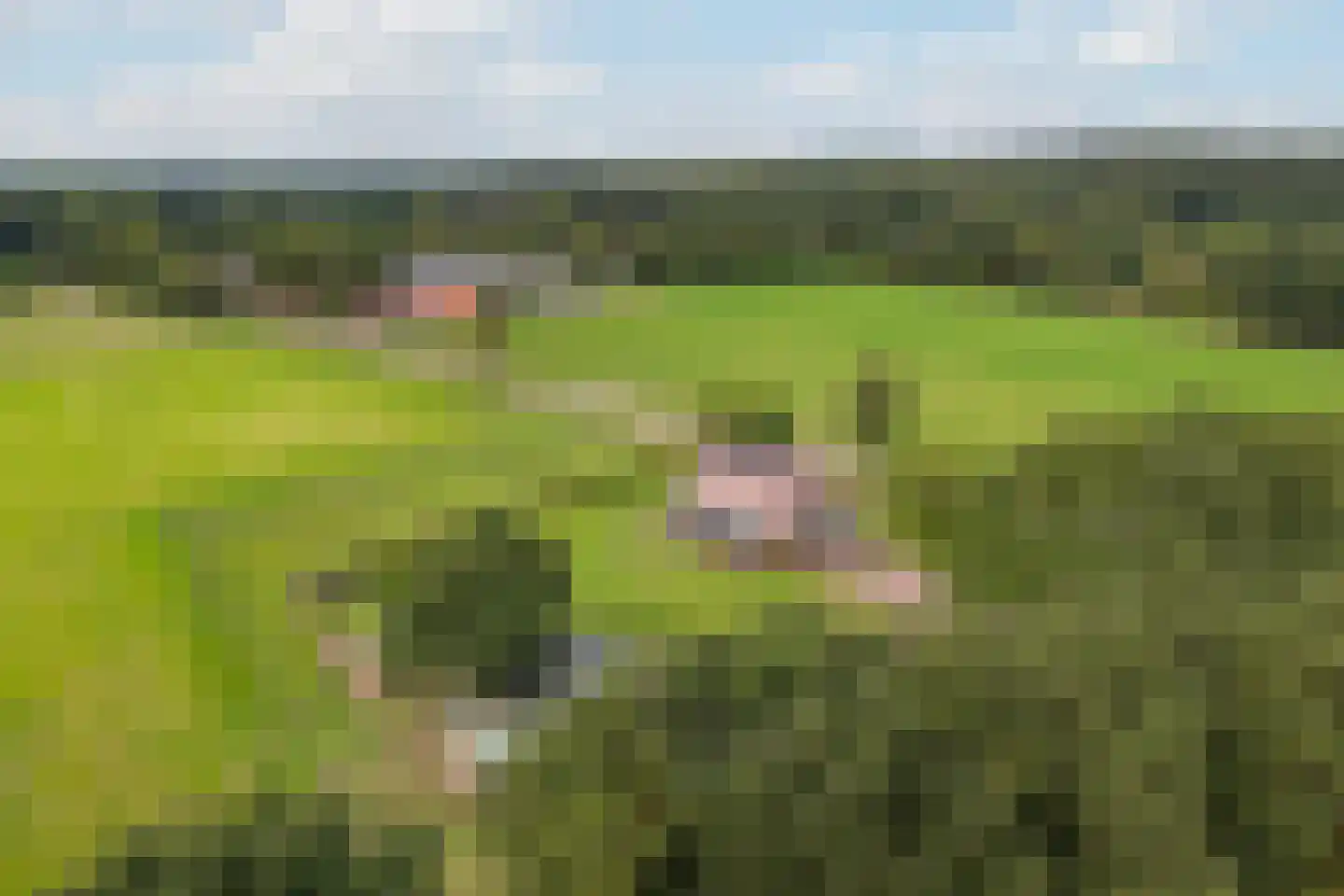 Twikkelerweg 8 Markelo thumbnail 53