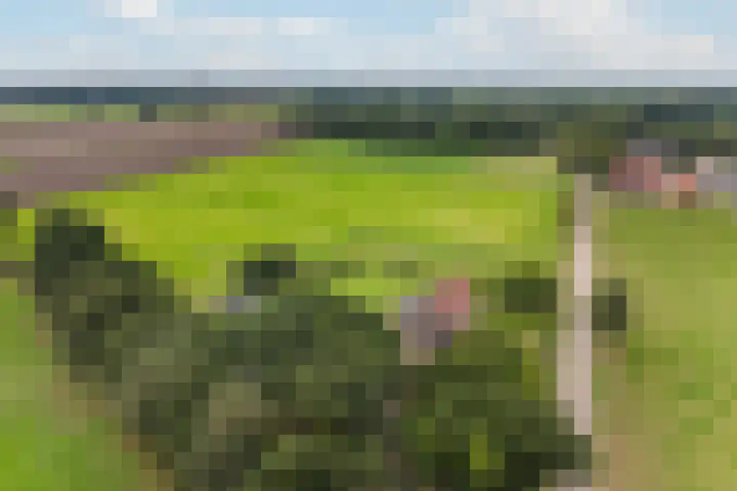 Twikkelerweg 8 Markelo thumbnail 54