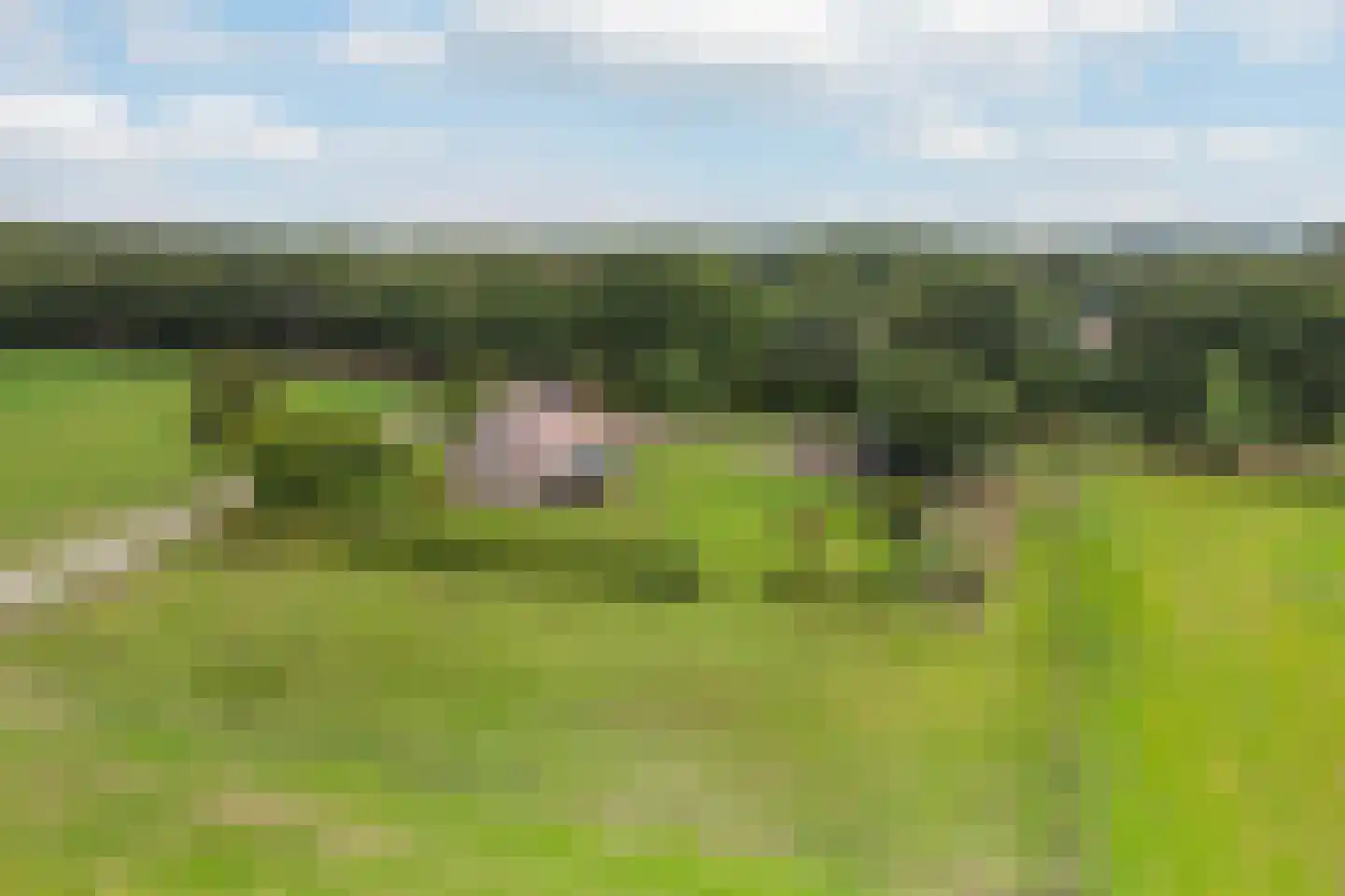 Twikkelerweg 8 Markelo thumbnail 55