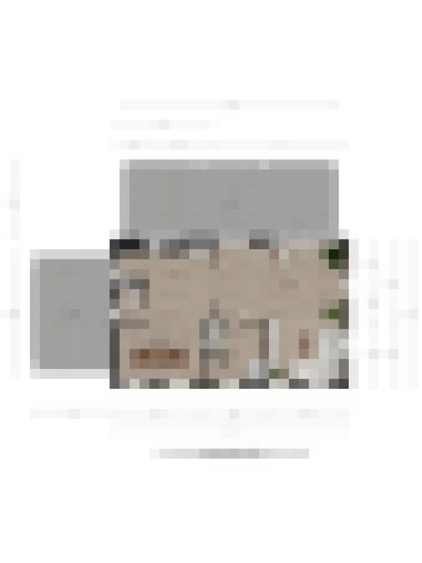 Twikkelerweg 8 Markelo thumbnail 56