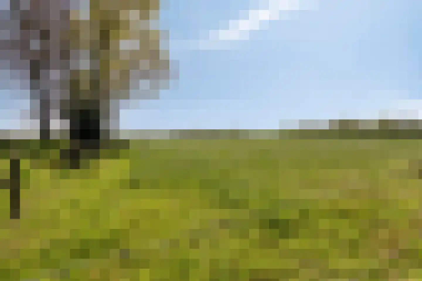 Twikkelerweg 8 Markelo thumbnail 64