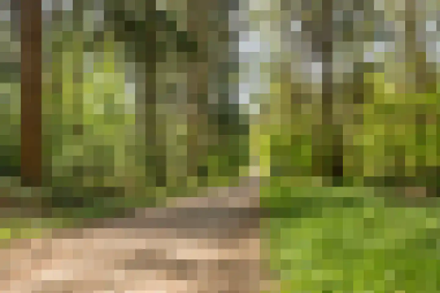 Twikkelerweg 8 Markelo thumbnail 65