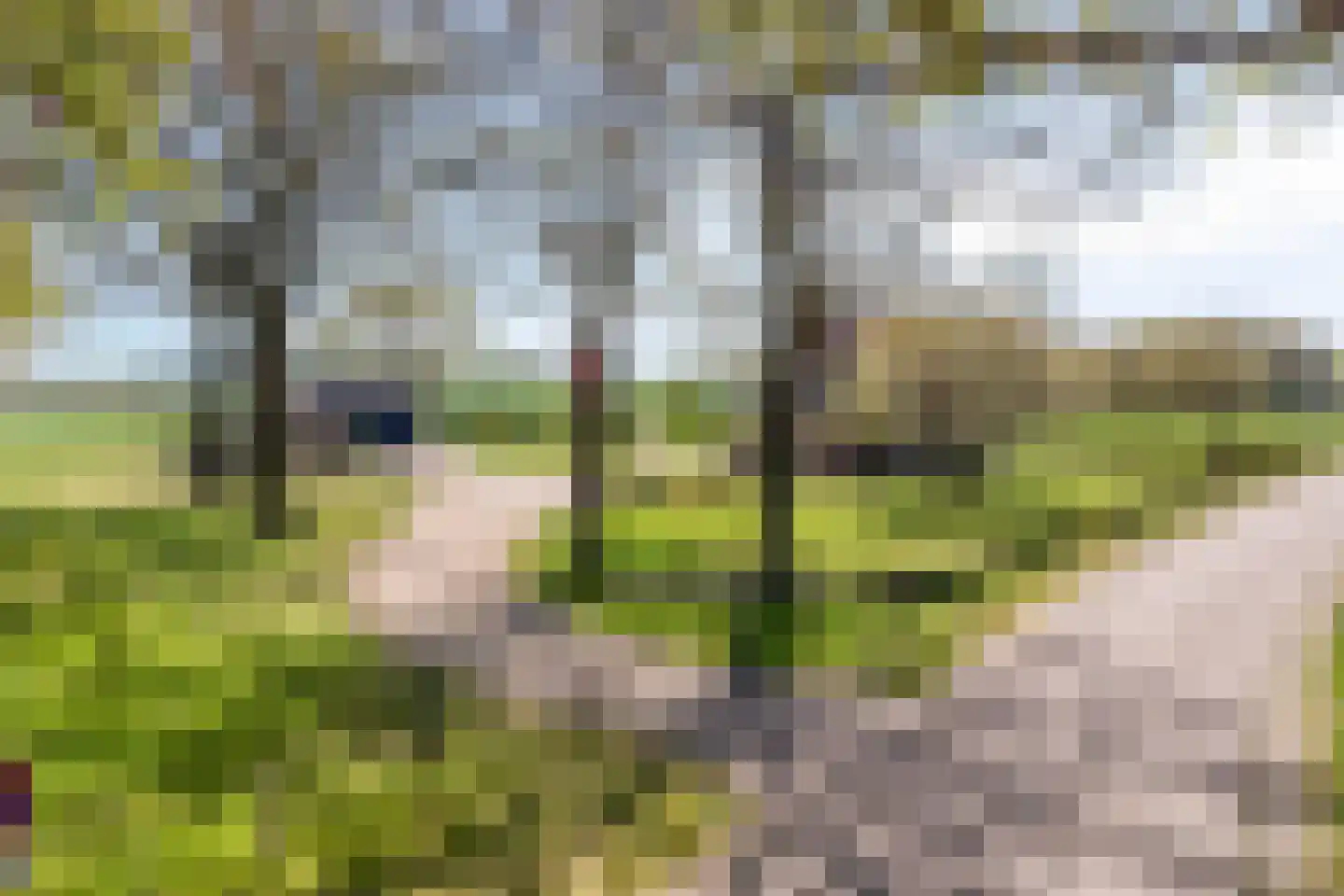 Twikkelerweg 8 Markelo thumbnail 66