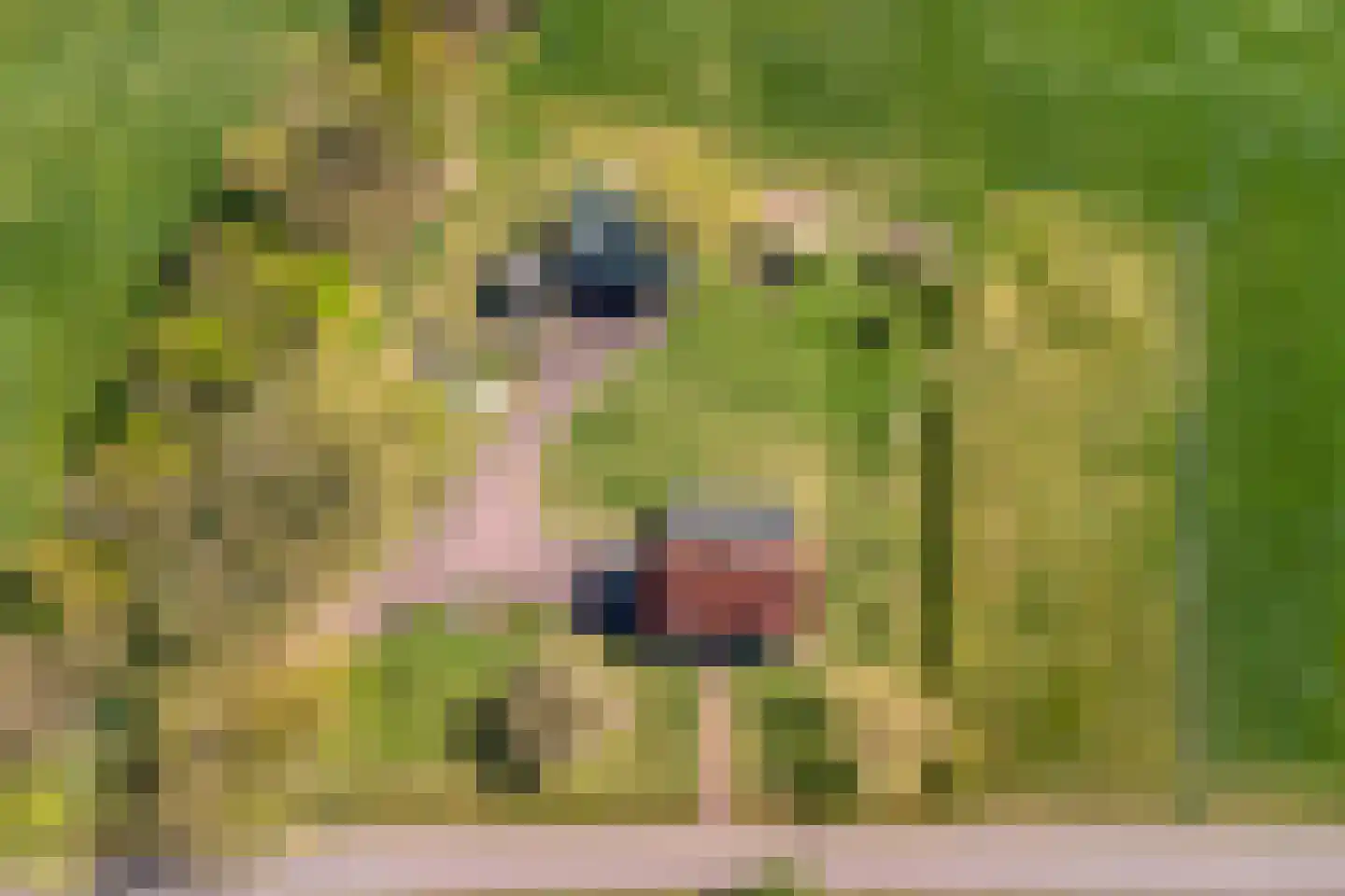 Twikkelerweg 8 Markelo thumbnail 67