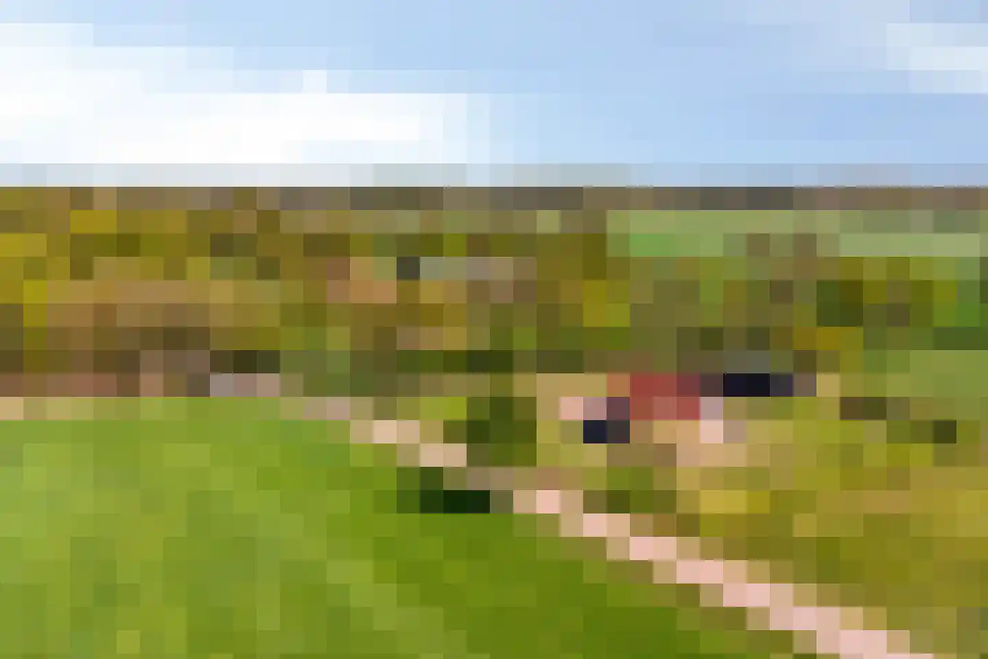 Twikkelerweg 8 Markelo thumbnail 69