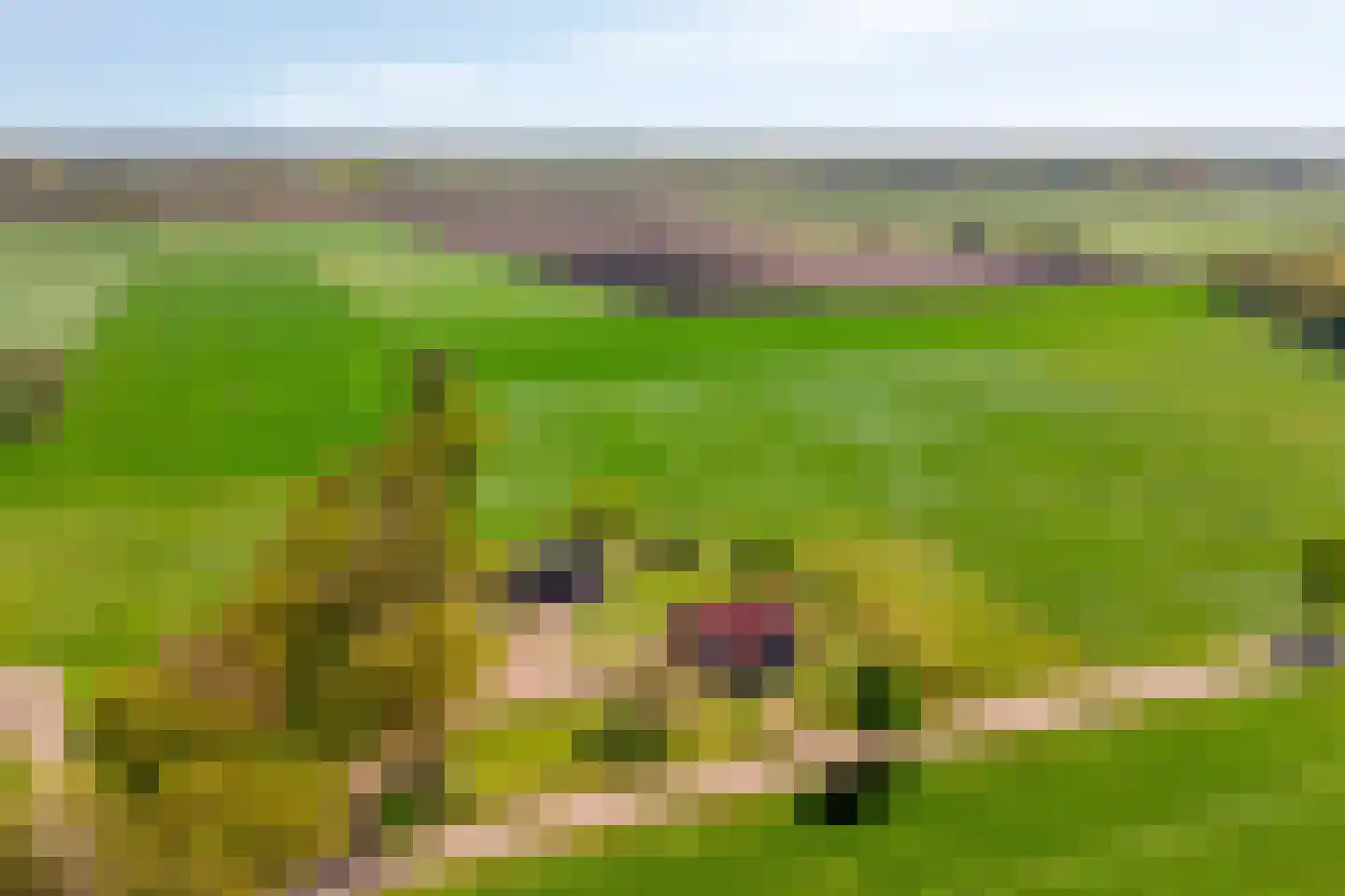 Twikkelerweg 8 Markelo thumbnail 70