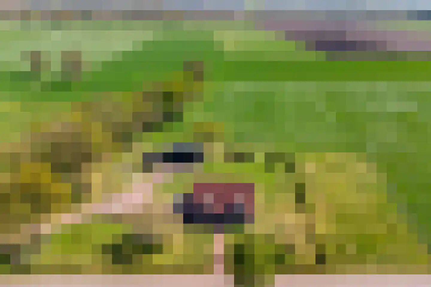 Twikkelerweg 8 Markelo thumbnail 71