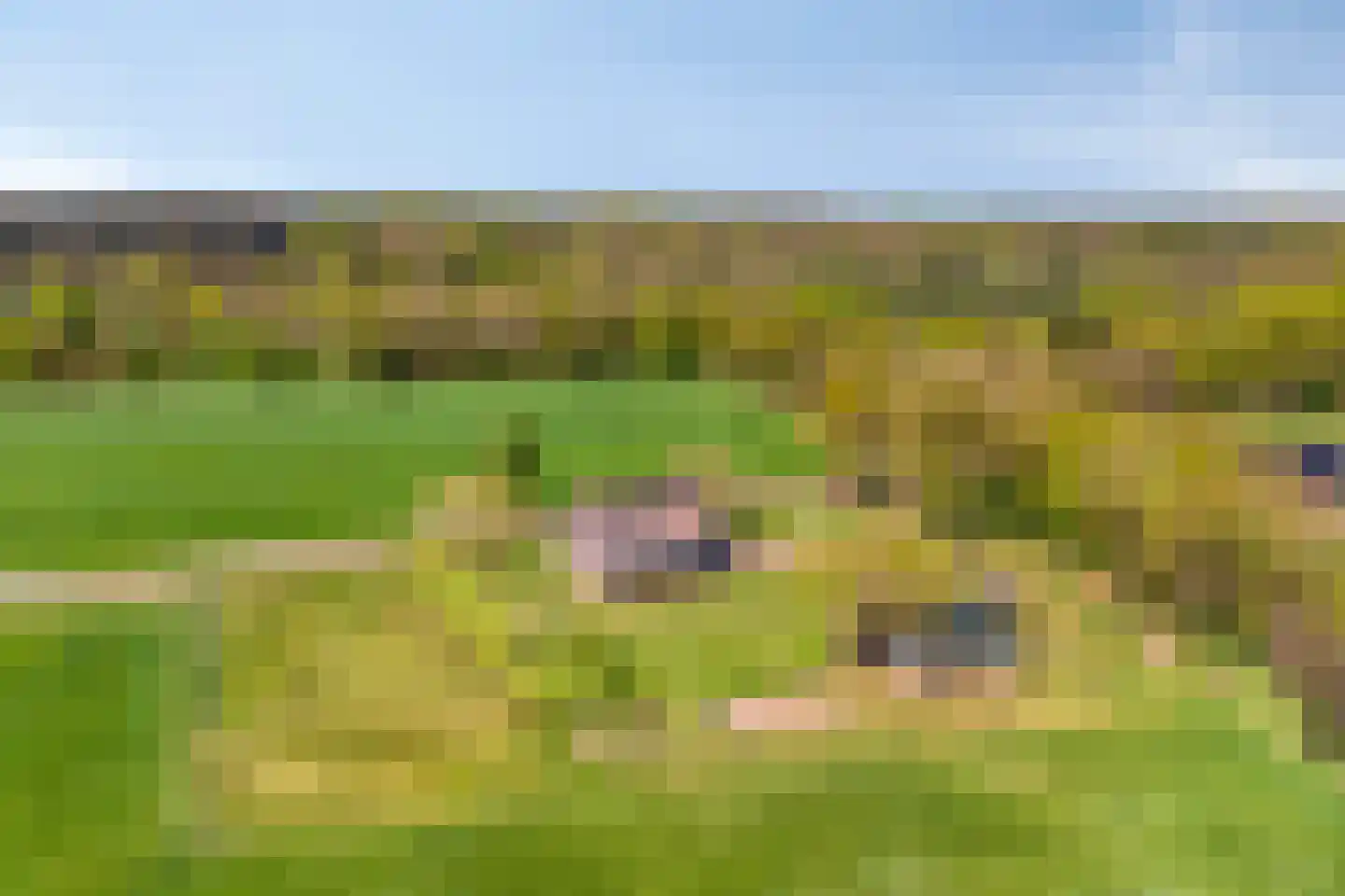 Twikkelerweg 8 Markelo thumbnail 72