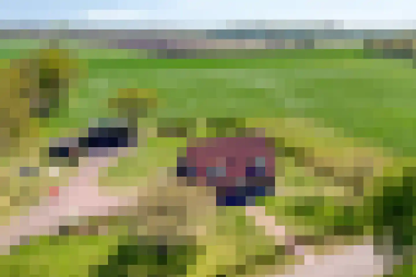 Twikkelerweg 8 Markelo thumbnail 73