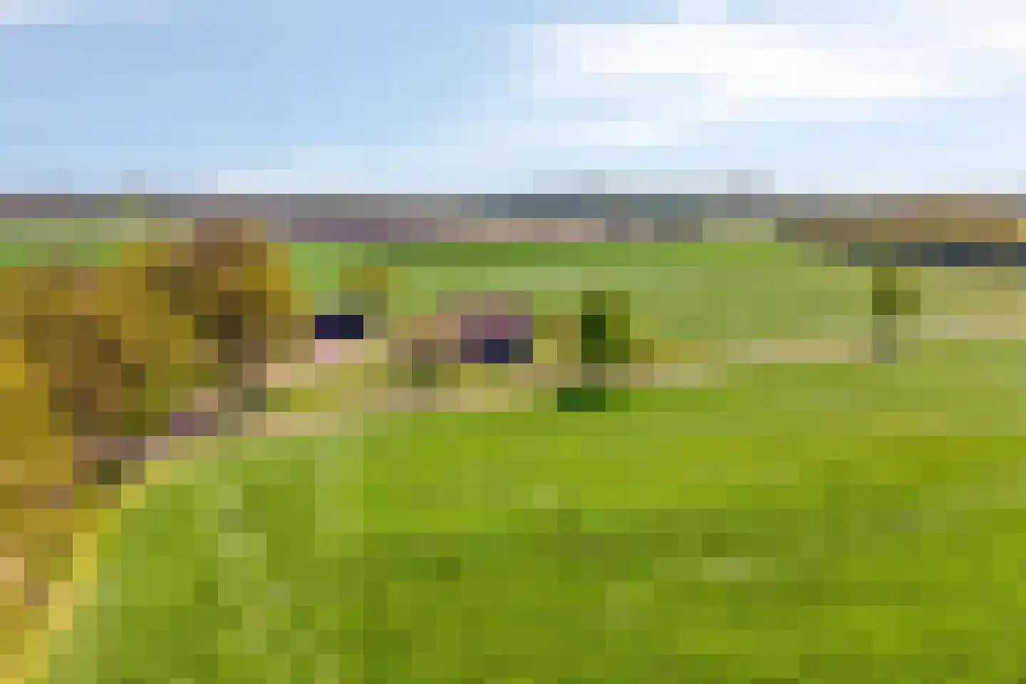Twikkelerweg 8 Markelo thumbnail 74