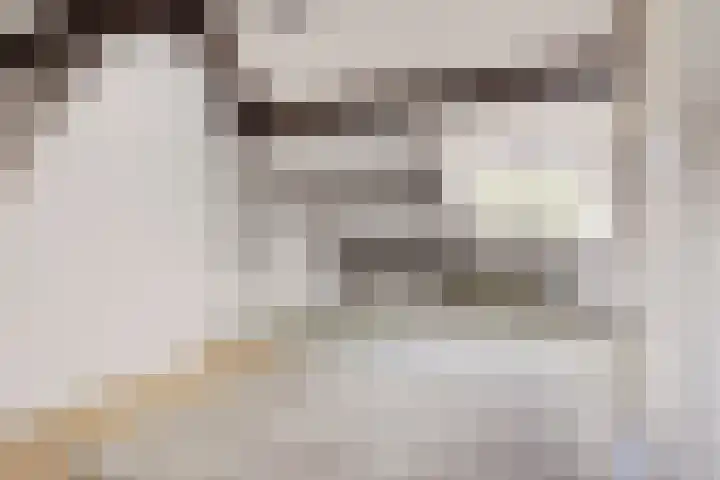 Twikkelstraat 40 Breda thumbnail 33