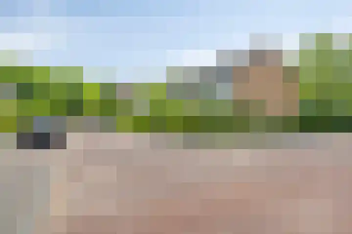 Twikkelstraat 40 Breda thumbnail 35