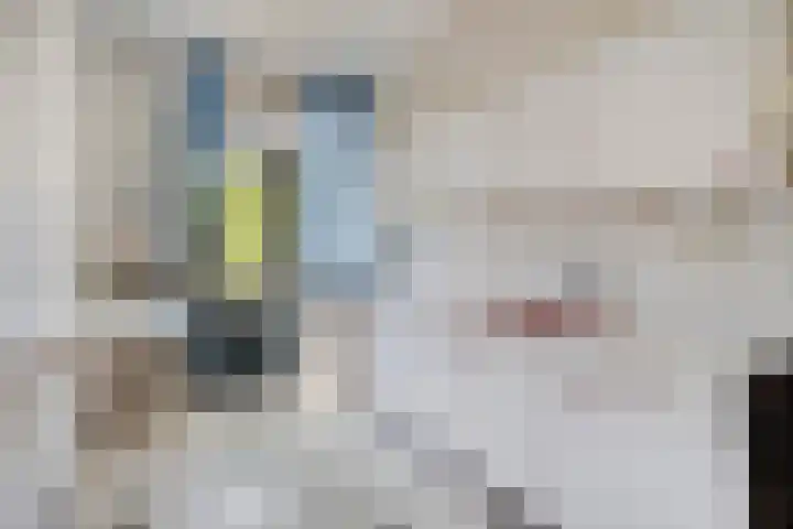 Twikkelstraat 40 Breda thumbnail 8
