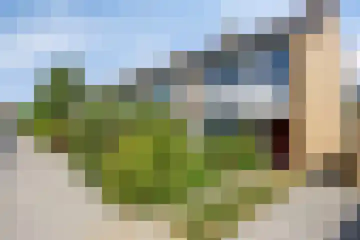 Twikkelstraat 49 in Breda