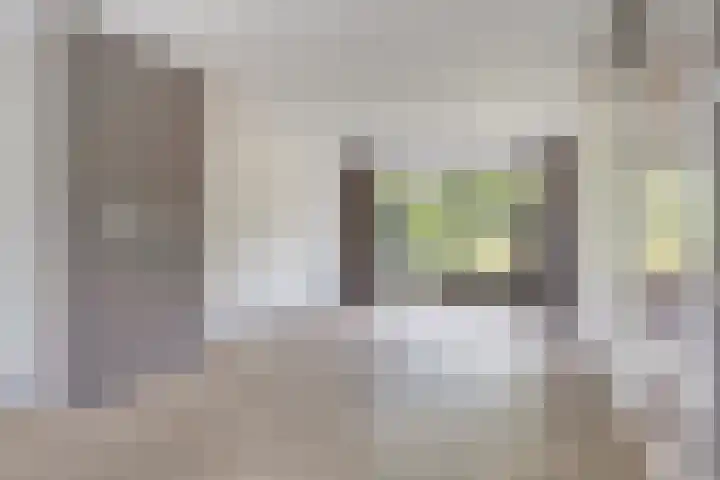 Twikkelstraat 49 Breda thumbnail 4