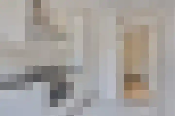 Twikkelstraat 49 Breda thumbnail 8