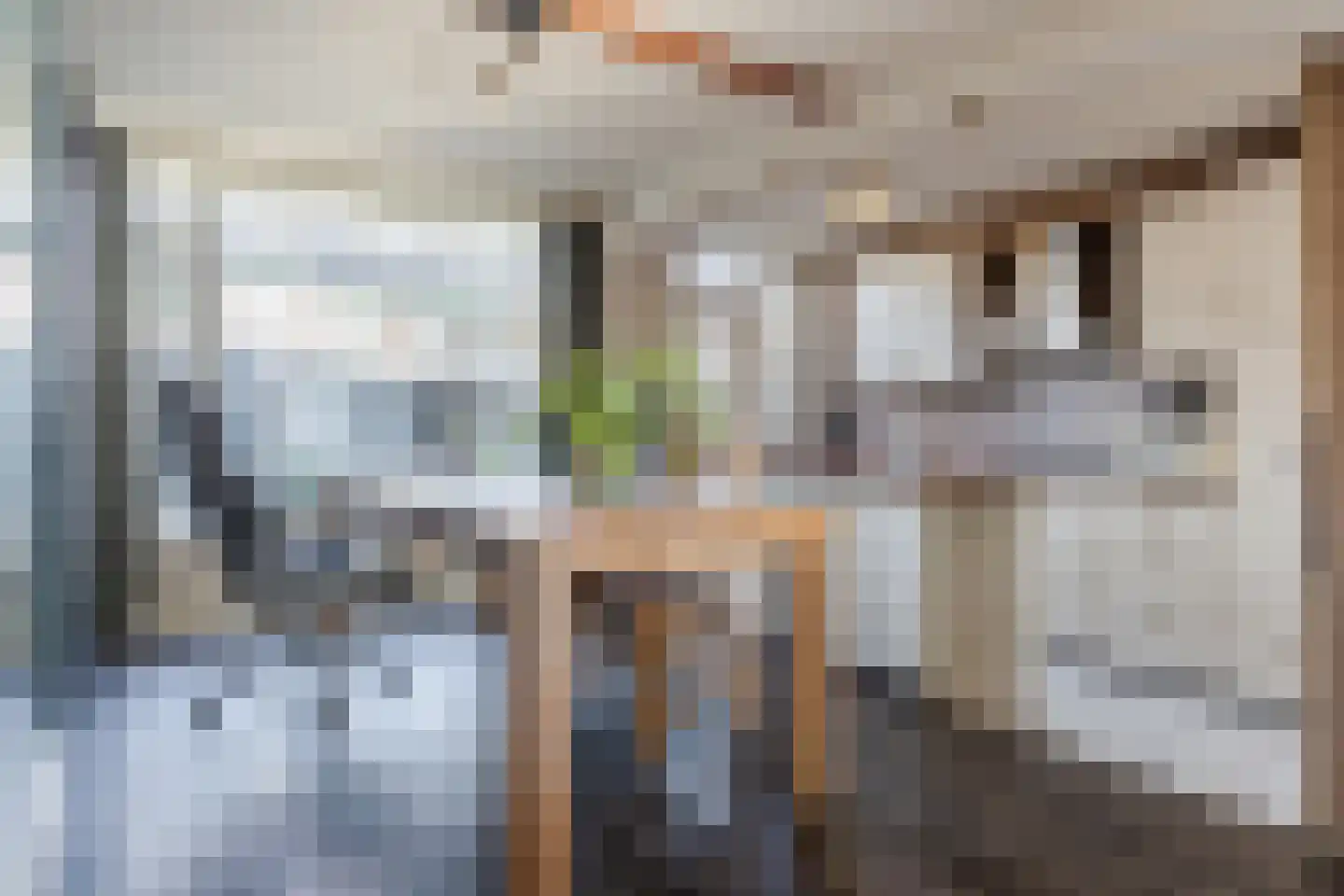 Twintighoven 32 Zevenbergen thumbnail 13