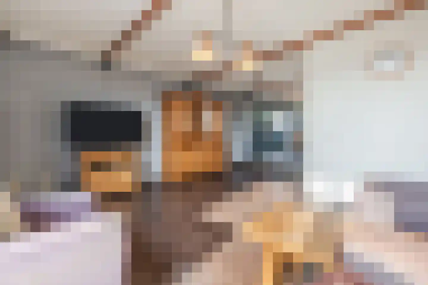 Twintighoven 32 Zevenbergen thumbnail 8
