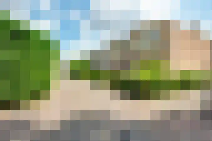 Twintighoven 41 Zevenbergen thumbnail 6