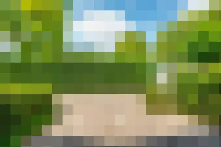 Twintighoven 41 Zevenbergen thumbnail 7