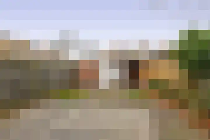 Twintighoven 50 Zevenbergen thumbnail 32