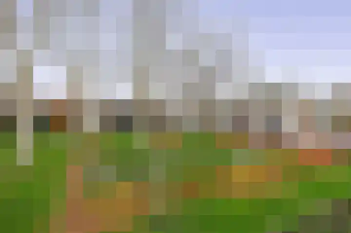 Twintighoven 50 Zevenbergen thumbnail 33