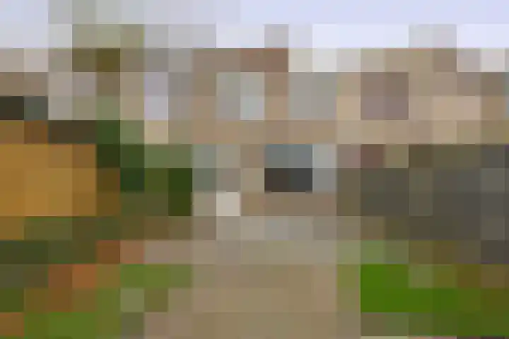 Twintighoven 50 Zevenbergen thumbnail 4